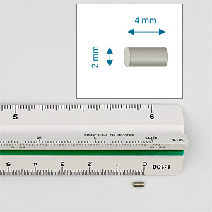 Magnet 2x4 mm